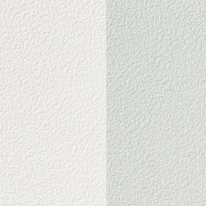 SP2889_20210617C01_コピー