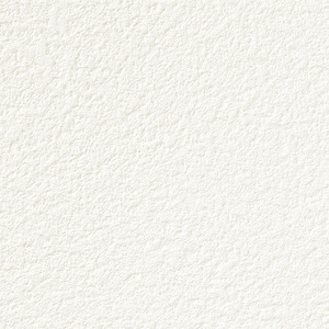 SP2803の柄アップ